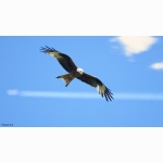 20220614 RM 03 1 DSC08472.jpg